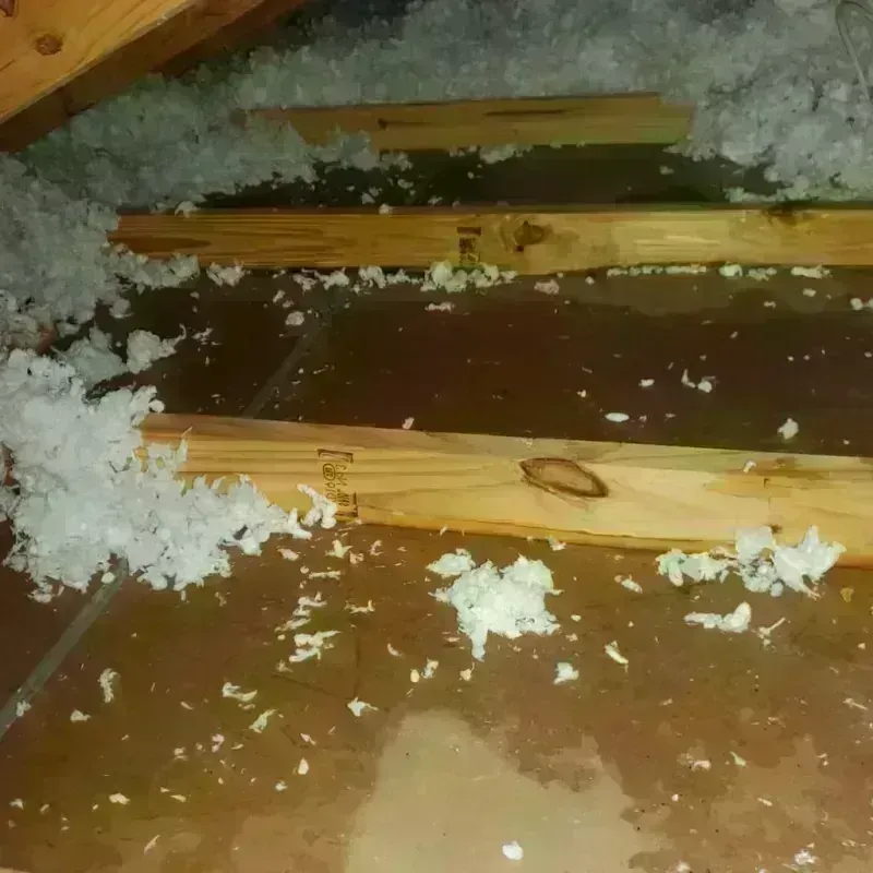 Attic Water Damage in Brewster, WA