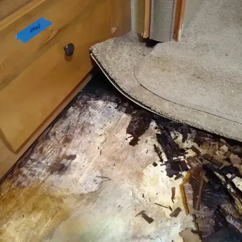 Wood Floor Water Damage in Brewster, WA